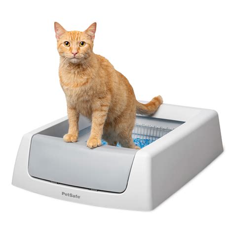 chewy scoop free electric litter box|petsafe top entry litter box.